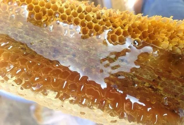 野蜂蜜價(jià)格多少錢(qián)一斤(各地正宗野蜂蜜的市場(chǎng)價(jià)格) 野蜂蜜價(jià)格多少錢(qián)一斤(各地正宗野蜂蜜的市場(chǎng)價(jià)格)