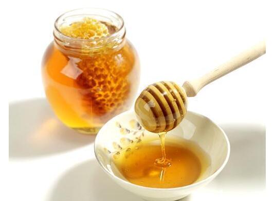 中國大虎頭蜂雄蜂和雌蜂的區別（中國大虎頭蜂怎么分公母）