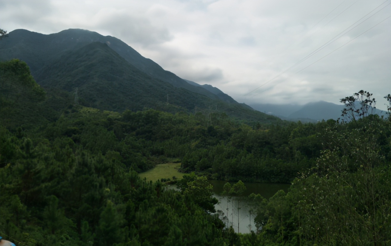 如何尋找野生蜜蜂(野外尋找蜜蜂的方法和技巧) 如何尋找野生蜜蜂(野外尋找蜜蜂的方法和技巧)