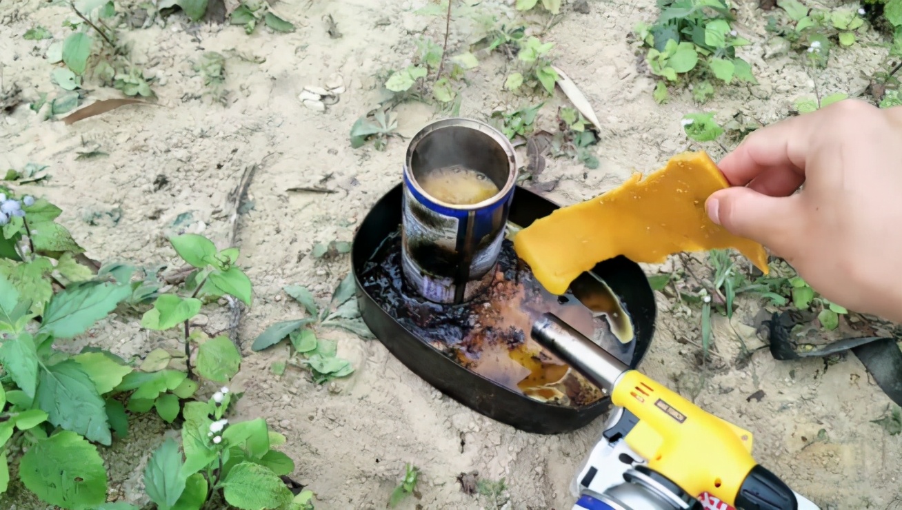 如何尋找野生蜜蜂(野外尋找蜜蜂的方法和技巧) 如何尋找野生蜜蜂(野外尋找蜜蜂的方法和技巧)