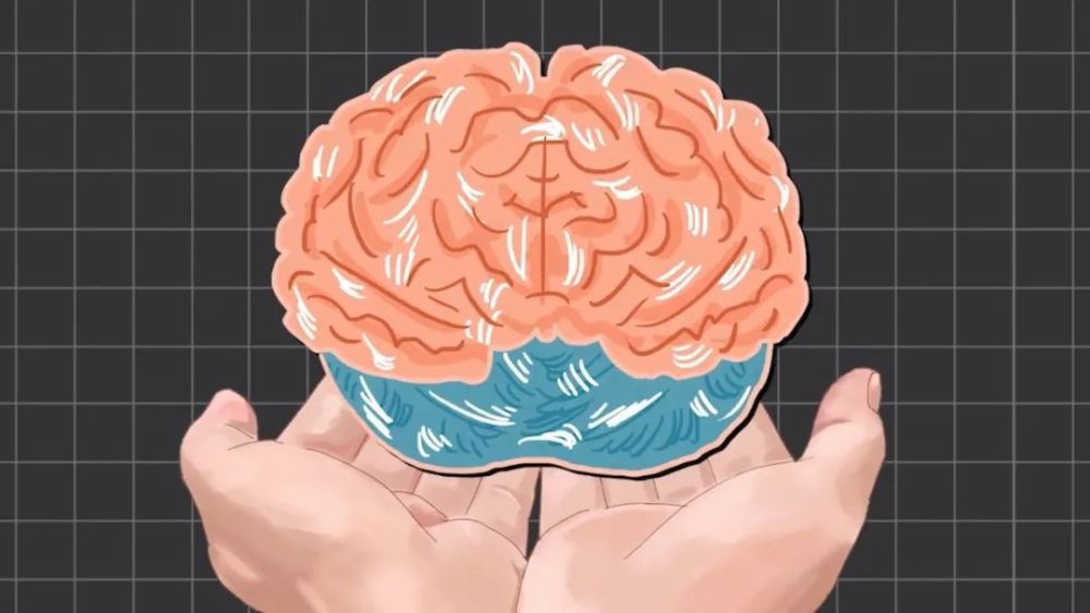 地球上最成功的植物，1萬年前操縱智人，占地面積將近10個英國