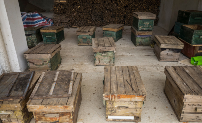 中蜂養(yǎng)殖場(chǎng)地的選擇(養(yǎng)蜂需要什么樣的場(chǎng)地) 中蜂養(yǎng)殖場(chǎng)地的選擇(養(yǎng)蜂需要什么樣的場(chǎng)地)