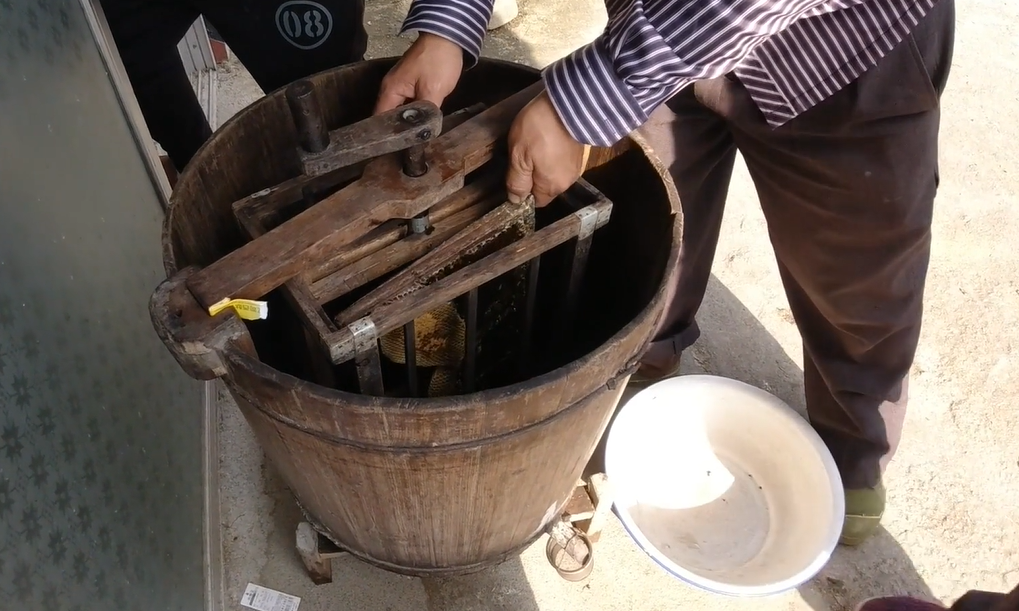 中蜂養(yǎng)殖場(chǎng)地的選擇(養(yǎng)蜂需要什么樣的場(chǎng)地) 中蜂養(yǎng)殖場(chǎng)地的選擇(養(yǎng)蜂需要什么樣的場(chǎng)地)