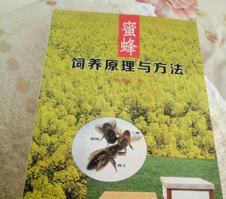 中蜂養(yǎng)殖場(chǎng)地的選擇(養(yǎng)蜂需要什么樣的場(chǎng)地) 中蜂養(yǎng)殖場(chǎng)地的選擇(養(yǎng)蜂需要什么樣的場(chǎng)地)