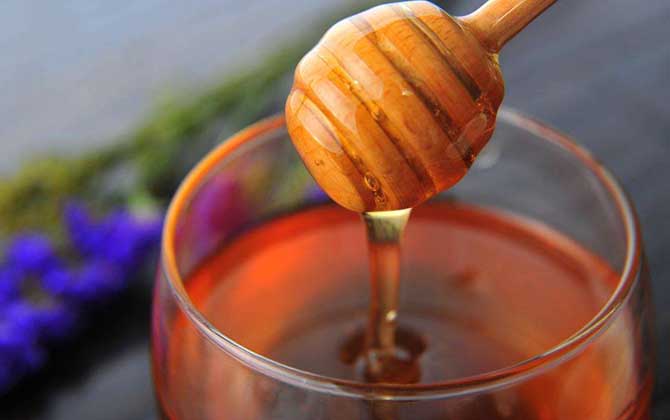 高加索黑蜂蜂蜜怎么食用(高加索蜂蜂蜜吃法) 高加索黑蜂蜂蜜怎么食用(高加索蜂蜂蜜吃法)