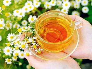 黨參蜜是什么蜜(黨參蜂蜜的作用及價格) 黨參蜜是什么蜜(黨參蜂蜜的作用及價格)