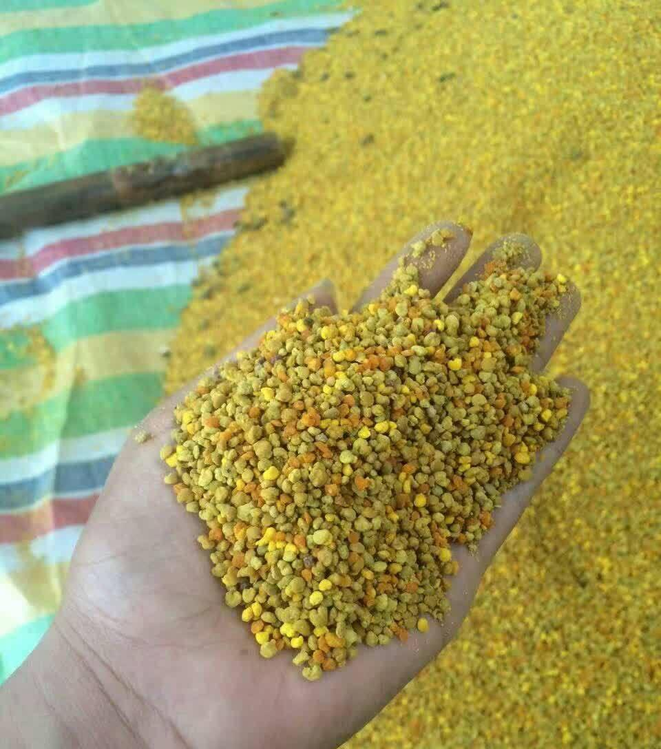 花粉如何發(fā)酵喂蜜蜂(喂蜜蜂花粉需要發(fā)酵嗎) 花粉如何發(fā)酵喂蜜蜂(喂蜜蜂花粉需要發(fā)酵嗎)