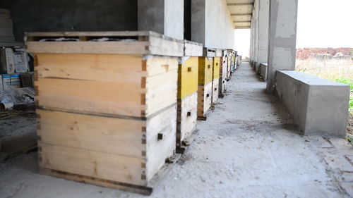 新手養蜜蜂死了是怎么回事(剛來的野蜂,不久全部死亡,什么原因) 新手養蜜蜂死了是怎么回事(剛來的野蜂,不久全部死亡,什么原因)