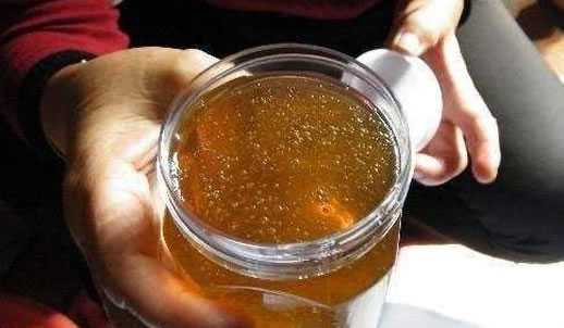 假蜂蜜有哪些特征(假蜂蜜的種類和特征危害) 假蜂蜜有哪些特征(假蜂蜜的種類和特征危害)