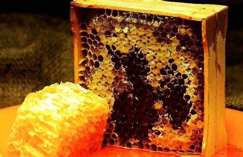 蜜蜂多少錢一箱 蜜蜂多少錢一箱