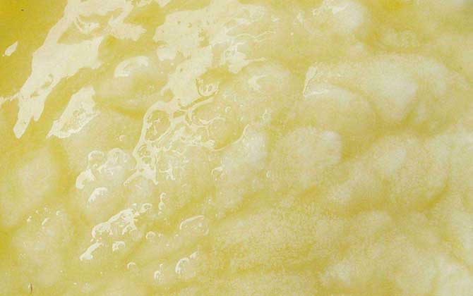 蜂王漿是哪種蜜蜂吃的(蜂王漿的營養價值) 蜂王漿是哪種蜜蜂吃的(蜂王漿的營養價值)