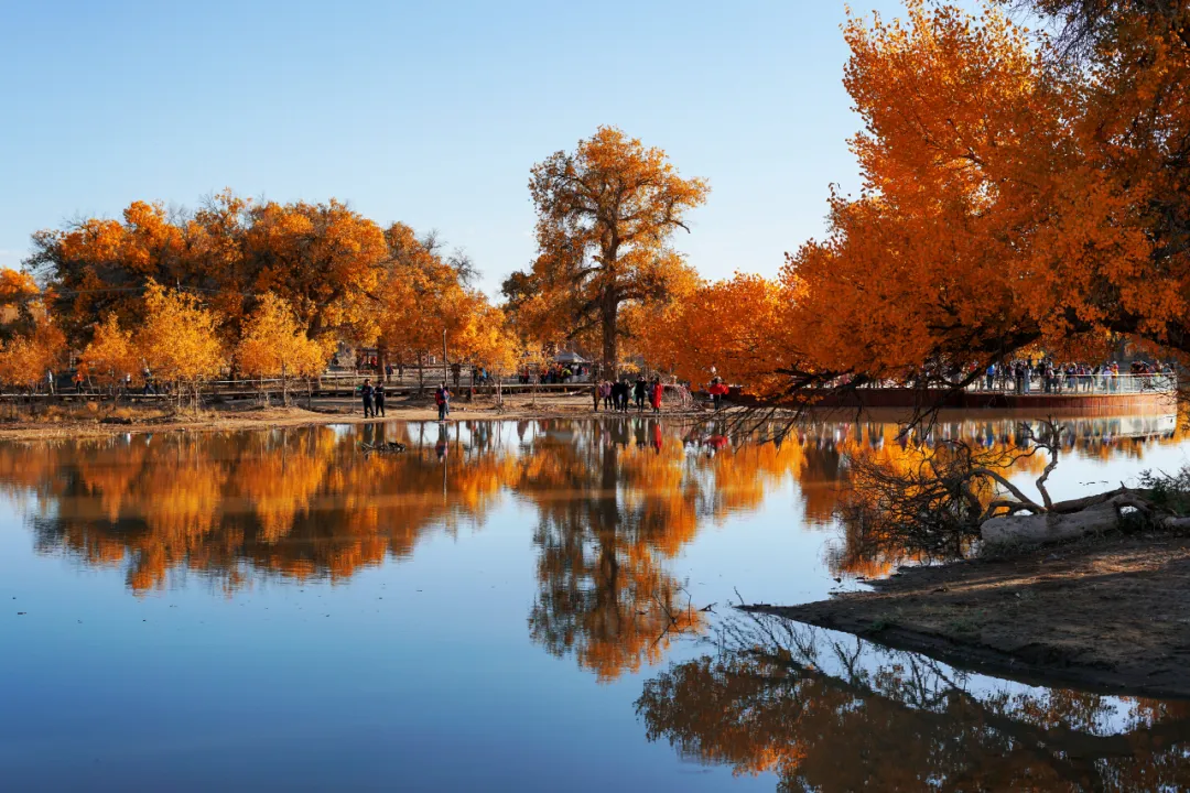 中秋假期有哪些小眾的城市和地方值得推薦 中秋出行!新晉黑馬目的地TOP10,小眾海島、賞秋秘境、文化慢城