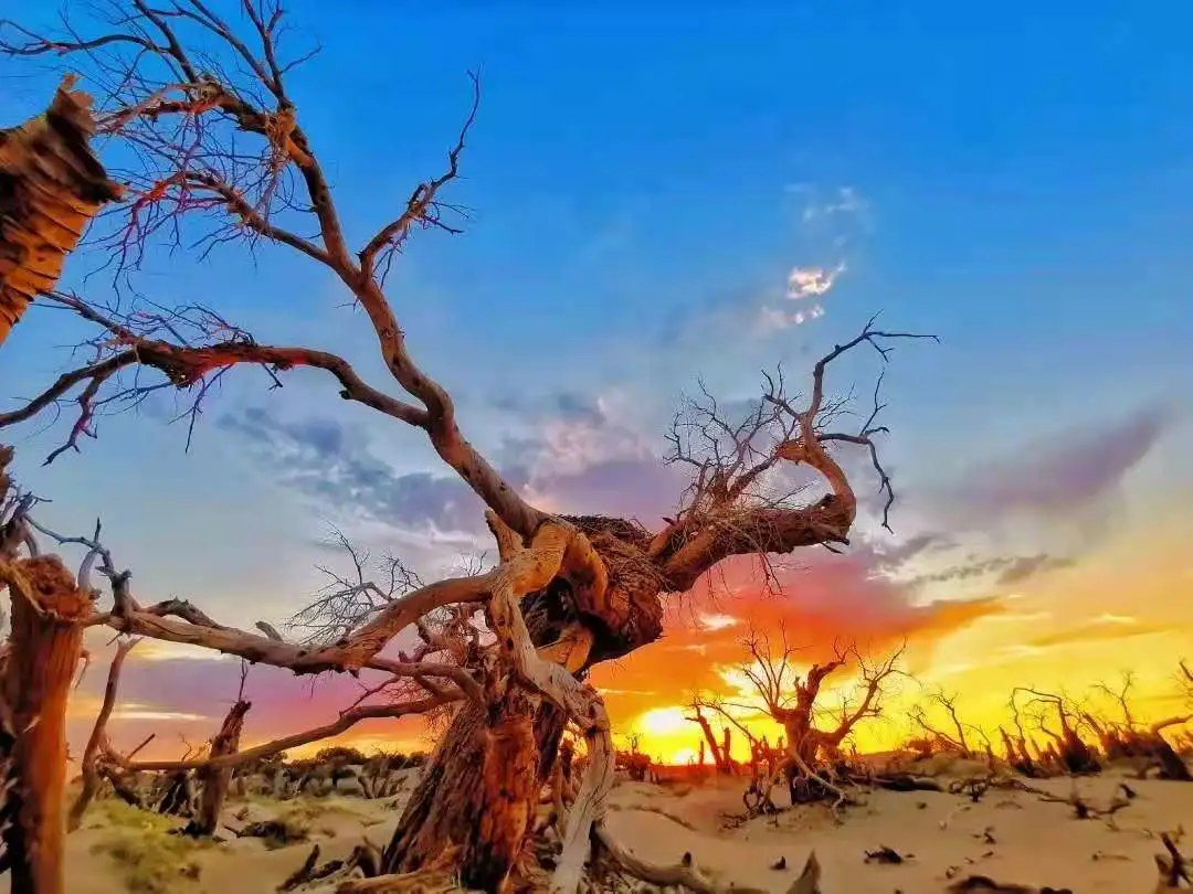 中秋假期有哪些小眾的城市和地方值得推薦 中秋出行!新晉黑馬目的地TOP10,小眾海島、賞秋秘境、文化慢城