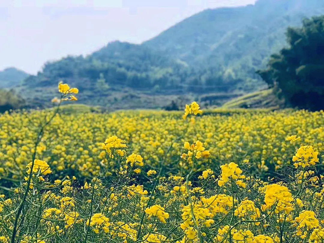 中秋假期有哪些小眾的城市和地方值得推薦 中秋出行!新晉黑馬目的地TOP10,小眾海島、賞秋秘境、文化慢城