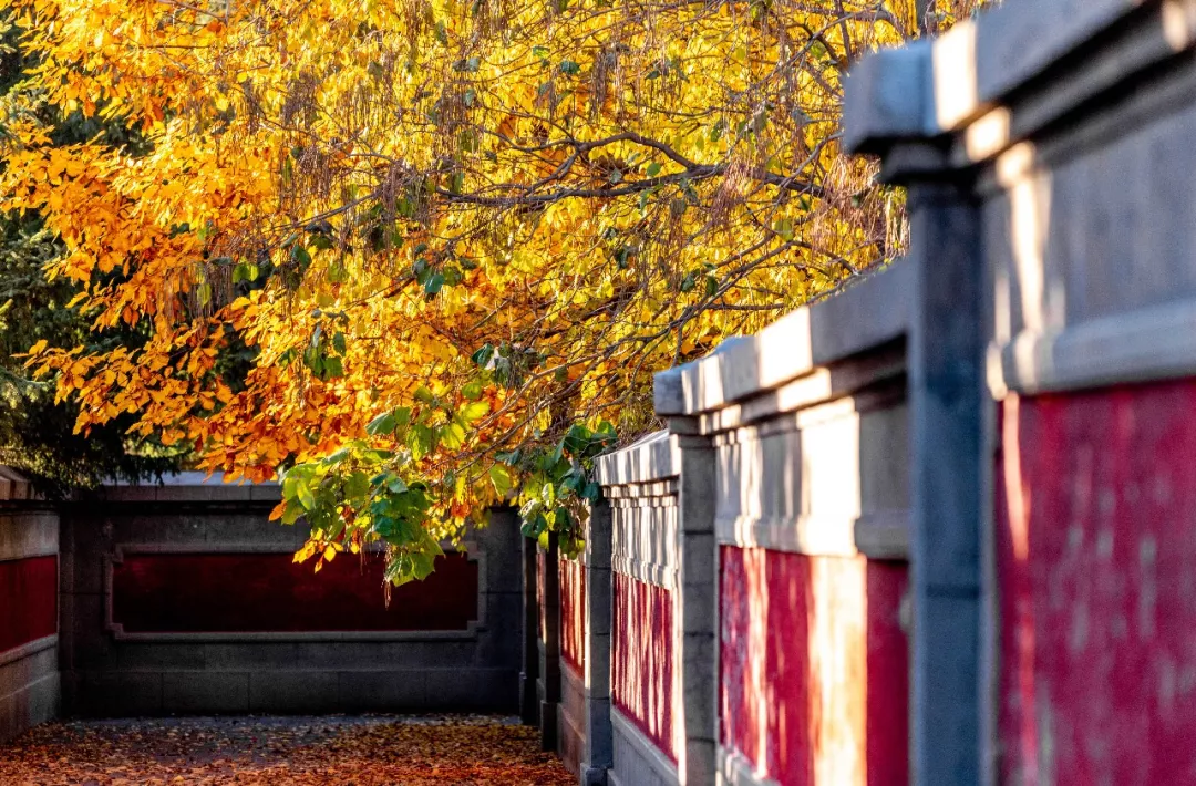 中秋假期有哪些小眾的城市和地方值得推薦 中秋出行!新晉黑馬目的地TOP10,小眾海島、賞秋秘境、文化慢城