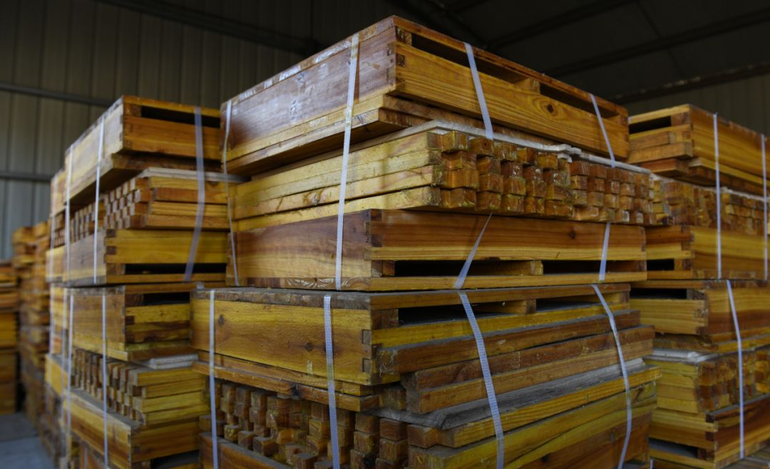 北方蜜蜂越冬管理技術(蜜蜂在北方怎樣過冬) 北方蜜蜂越冬管理技術(蜜蜂在北方怎樣過冬)