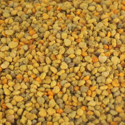 什么是百花粉(百花粉的形態(tài)特征) 什么是百花粉(百花粉的形態(tài)特征)