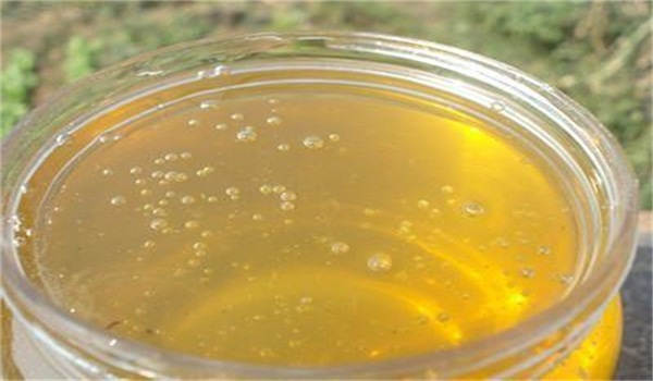 處女王交尾成功工蜂有什么表現(中蜂王交尾成功工蜂表現) 處女王交尾成功工蜂有什么表現(中蜂王交尾成功工蜂表現)