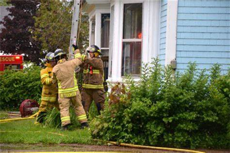 蜜蜂在我家筑巢風水好