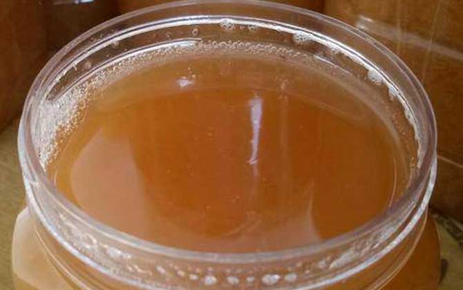 鴨腳木蜜結晶后什么樣的(鴨腳木蜜結晶好還是不結晶好) 鴨腳木蜜結晶后什么樣的(鴨腳木蜜結晶好還是不結晶好)