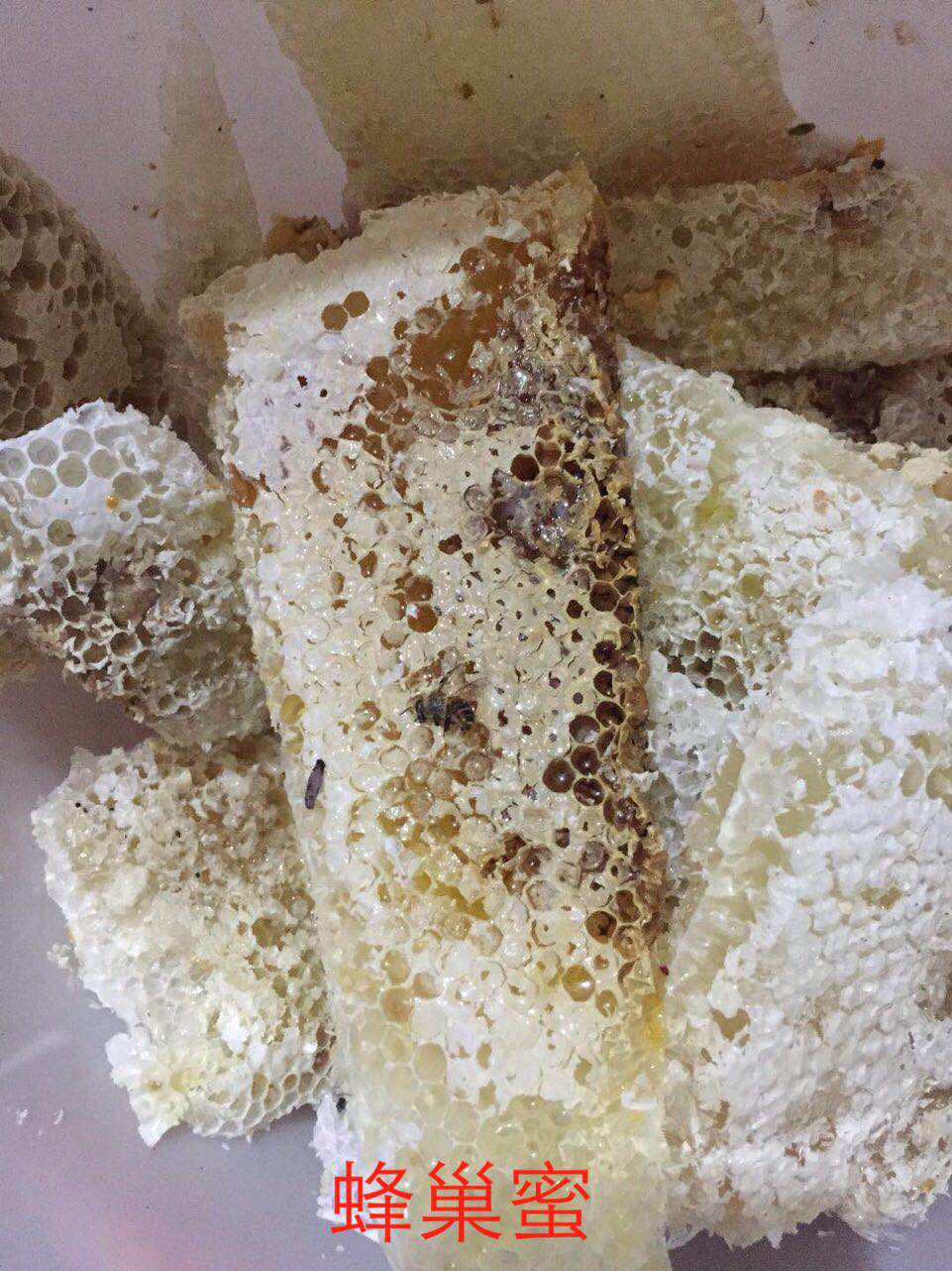 養(yǎng)中蜂的詳細技術方法要點(中蜂養(yǎng)殖發(fā)展快的技巧) 養(yǎng)中蜂的詳細技術方法要點(中蜂養(yǎng)殖發(fā)展快的技巧)