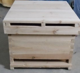 一個人養(yǎng)500箱蜜蜂可行嗎(一個人最多能養(yǎng)多少箱蜜蜂) 一個人養(yǎng)500箱蜜蜂可行嗎(一個人最多能養(yǎng)多少箱蜜蜂)