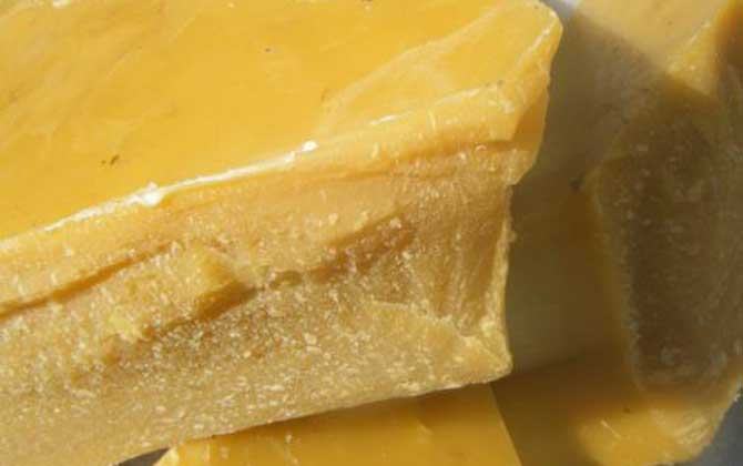 蜂蠟對蜜蜂有什么用 蜂蠟對蜜蜂有什么用