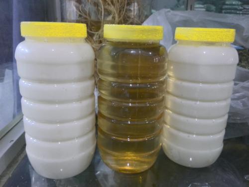 東北黑蜂雪蜜是白蜂蜜嗎(白蜜介紹) 東北黑蜂雪蜜是白蜂蜜嗎(白蜜介紹)