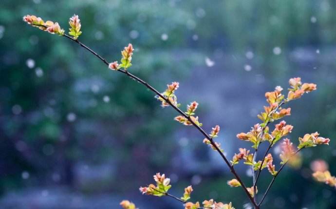 北方室內(nèi)蜂群的越冬管理方法 北方室內(nèi)蜂群的越冬管理方法