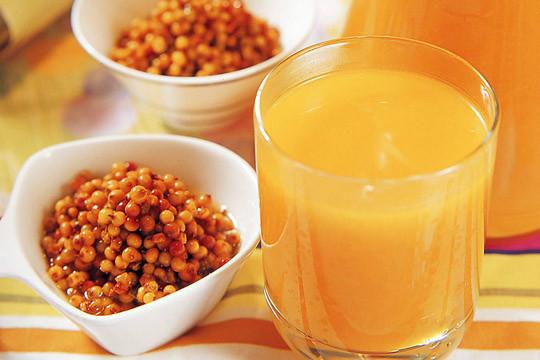 沙棘是什么科屬植物(沙棘的種植和利用價值) 沙棘是什么科屬植物(沙棘的種植和利用價值)