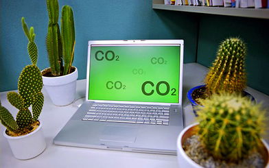 仙人掌防輻射是真的嗎(仙人掌的作用) 仙人掌防輻射是真的嗎(仙人掌的作用)