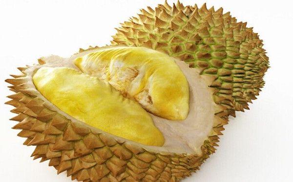 榴蓮原產地是中國嗎(榴蓮產地和傳入時間) 榴蓮原產地是中國嗎(榴蓮產地和傳入時間)