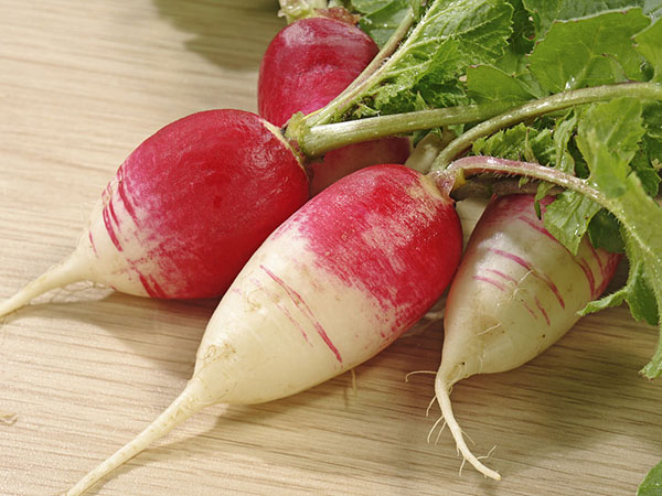 頭伏蘿卜二伏菜是什么意思(頭伏蘿卜二伏菜諺語的意思和出處) 頭伏蘿卜二伏菜是什么意思(頭伏蘿卜二伏菜諺語的意思和出處)