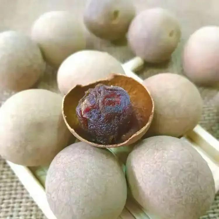 龍眼產地在哪里(十大優(yōu)質龍眼產地) 龍眼產地在哪里(十大優(yōu)質龍眼產地)