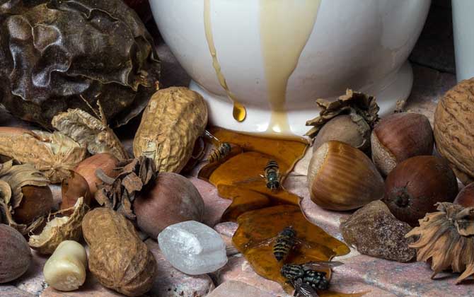 蜂蜜放了10年還能吃嗎？取決于蜂蜜是否變質，變質的蜂蜜不能吃！