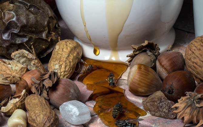 蜂蜜變黑了還能吃嗎？關(guān)鍵看變黑的原因，若是變質(zhì)了則不能再吃！