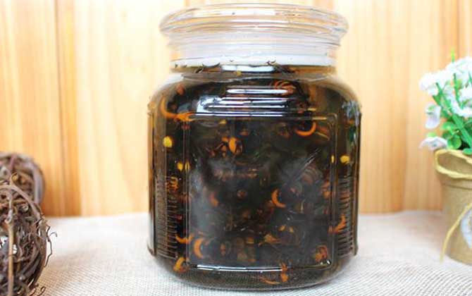 虎頭蜂酒真的能壯陽嗎？有一定的輔助效果，但飲用不當(dāng)易中毒！