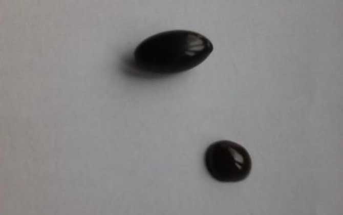 女性吃蜂膠要注意什么？要謹(jǐn)防發(fā)生過(guò)敏反應(yīng)，更不能過(guò)量服用！