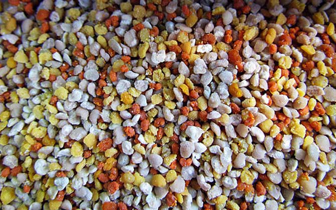 花粉的正確食用方法，絕對不能過量食用，還要注意禁忌人群！