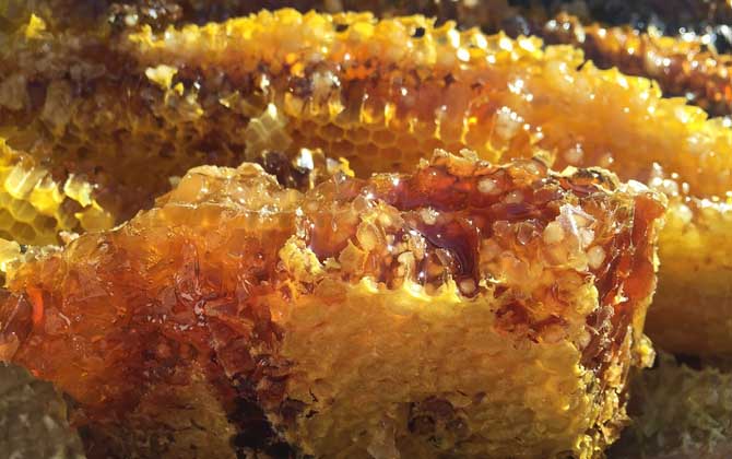 蜂蜜價(jià)格為什么有高有低？