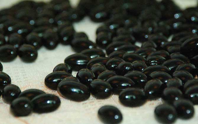 女人吃蜂膠膠囊有什么禁忌？