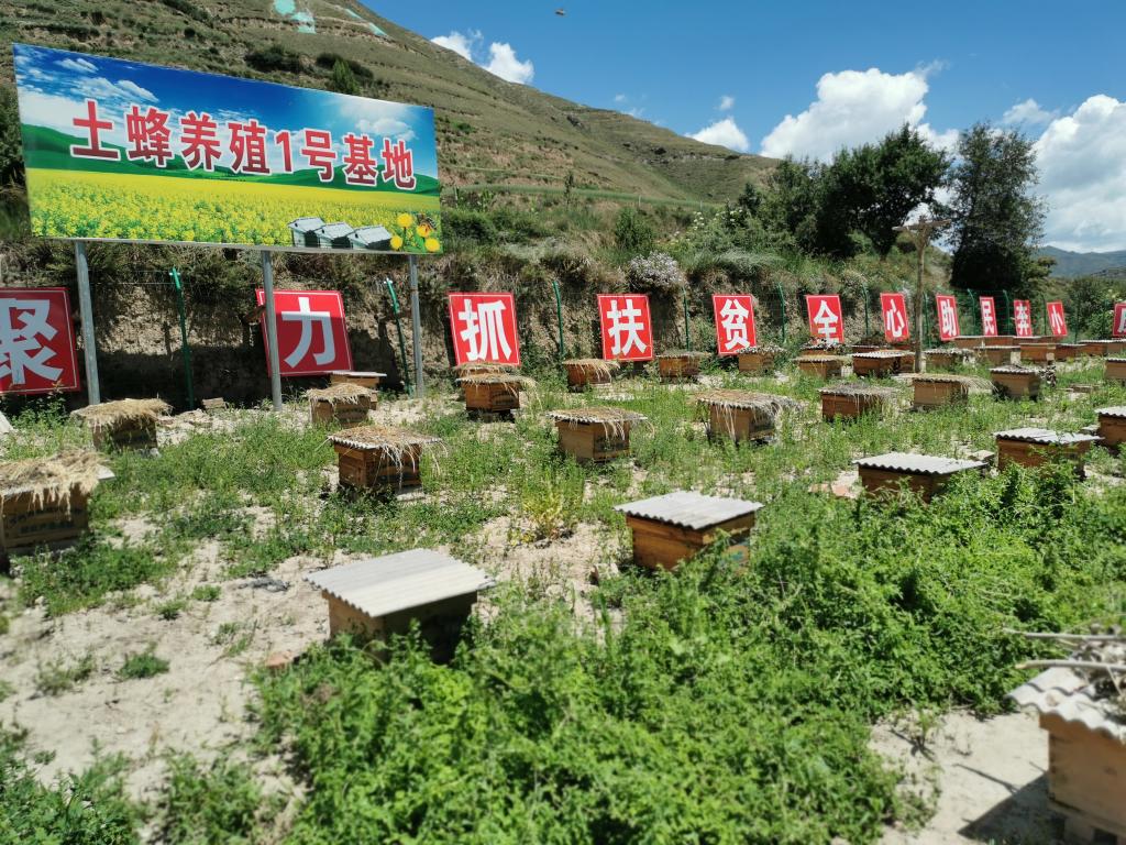 養(yǎng)蜂合作社有哪些補貼（成立養(yǎng)蜂合作社的條件和補貼申請）