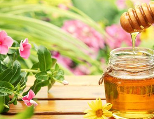 蜜蜂分蜂一般會往哪飛（蜜蜂分蜂后第一次結(jié)團(tuán)時間大約是多久）