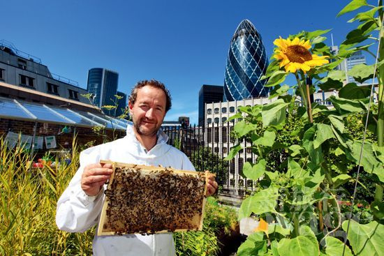 自產(chǎn)蜂蜜如何注冊商標（自產(chǎn)蜂蜜怎么申請商標步驟）