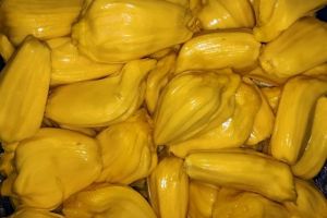 菠蘿蜜和菠蘿的區別